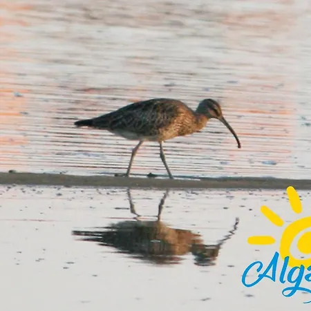 Santa Luzia Residence By Algartur - 5 Mins Downtown - Ac - Pool - Wi-Fi - Smart Tv *